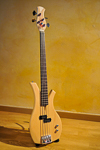 Litlle Sexy Dress Bass