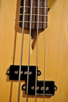 Sexy Little Dress Bass