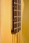 Frets