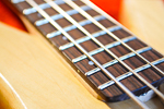 Frets