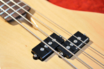 Sexy Little Dress Bass