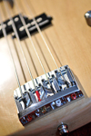 Sexy Little Dress Bass