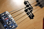 Sexy Little Dress Bass