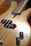 Sexy Little Dress Bass