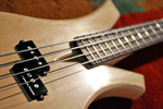 Sexy Little Dress Bass