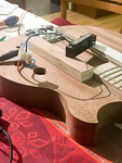 Gwenrann-V Short Scale bass