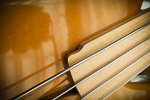 Travel Bass