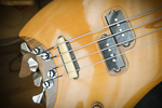 Travel Bass