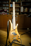 Travel Bass