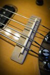 Travel Bass